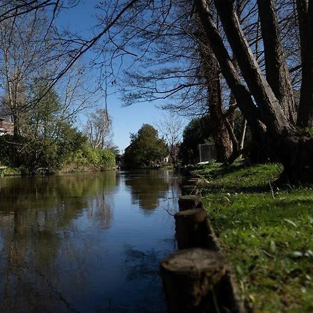 Surrey Hills Escape: Riverside Walks & Quick Links Godalming Dış mekan fotoğraf